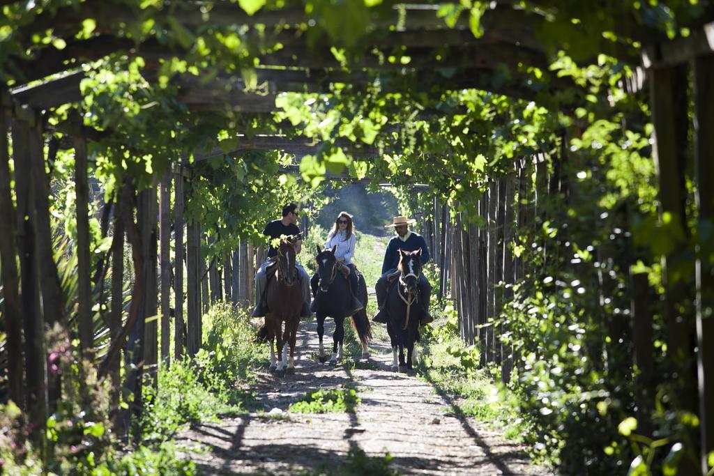 Hacienda Los Lingues Chile Valle De Colchagua Exteriér fotografie